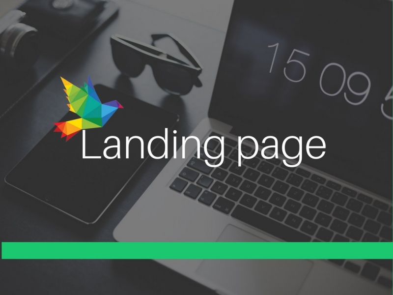 Лендинг landing page Сайт визитка 100
