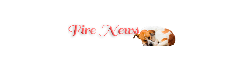 Развлекательный портал Fire News.
