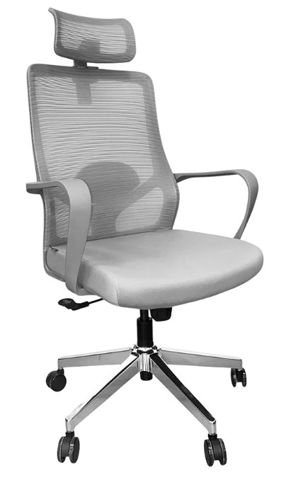 ��� �������  ���� ���������