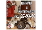 Ковер из шкуpы медведя