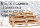 Куплю на взаимовыгодных условиях бу поддоны по Харькову и области