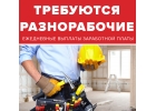 Разнорабочие. Ежедневные выплаты ЗП