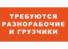 Требуются разнорабочие и грузчики. Ежедневная заплата