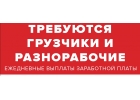 Требуются разнорабочие и грузчики. Ежедневная зарплата.