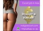 Работа девушкам в эскорте - ГОНКОНГ