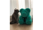 Мишки из роз