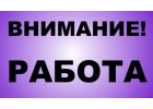 Предлагаем большое количество разнообразных вакансий